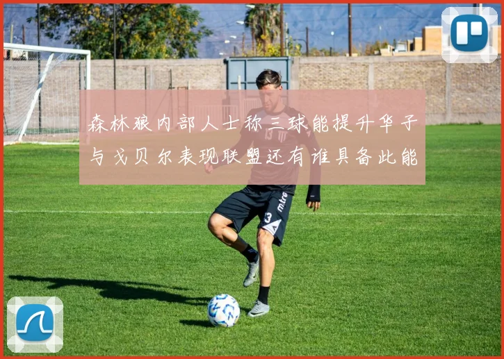 森林狼内部人士称三球能提升华子与戈贝尔表现联盟还有谁具备此能力